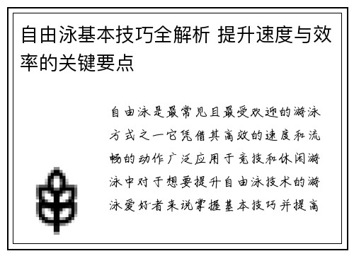 自由泳基本技巧全解析 提升速度与效率的关键要点